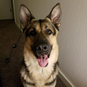 Meet your Posher, Ciera